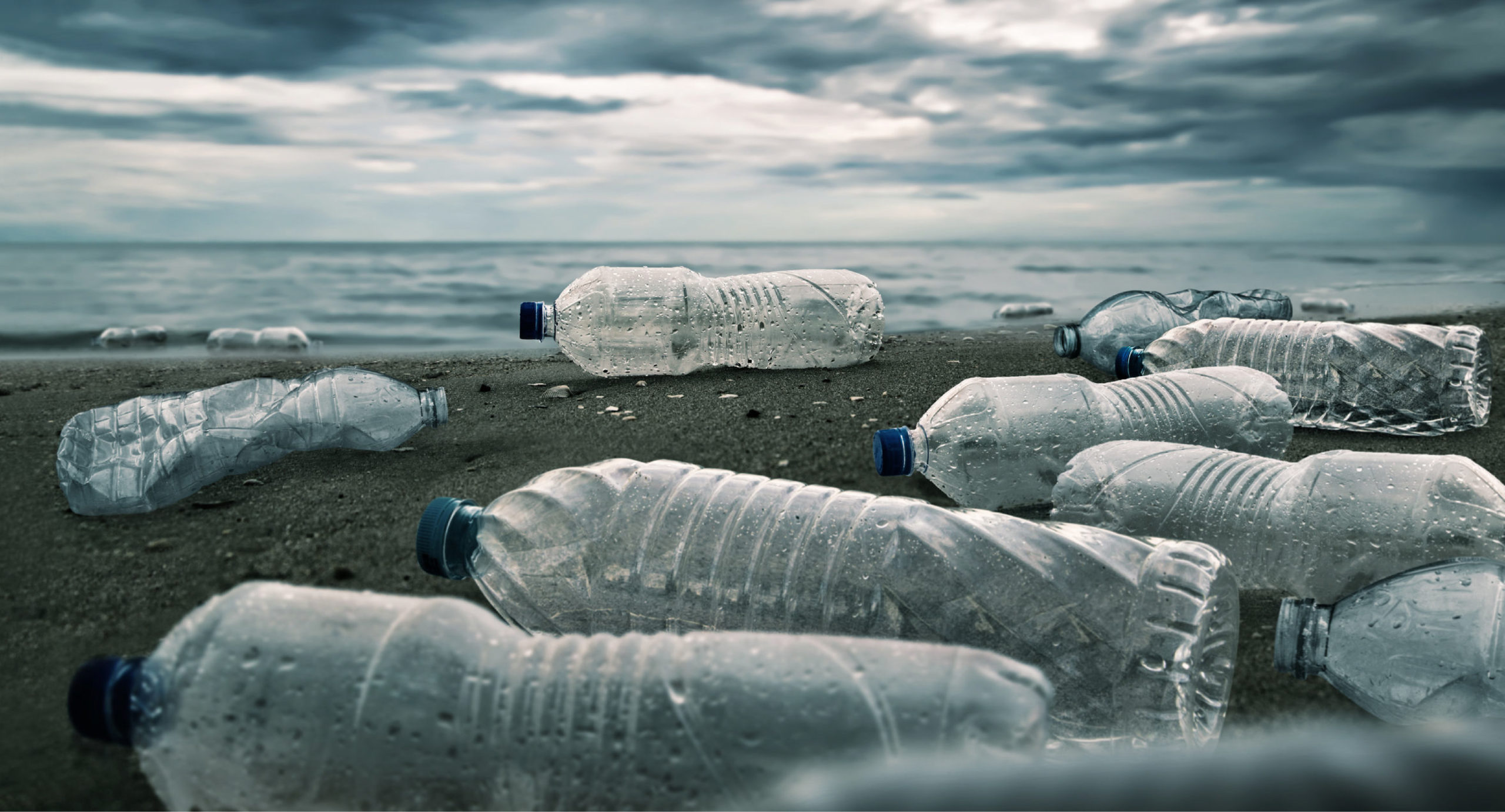 Reviving 'Litterbug' The New War on Plastic Waste